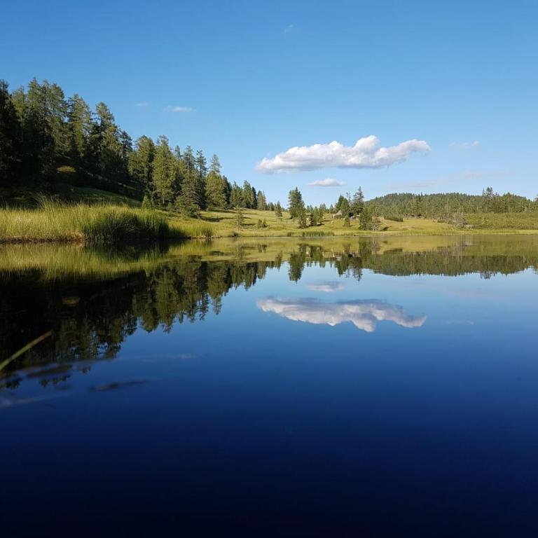St. Andrä im Lungau - Ruhe und Natur - Apartment mit 2 Schlafzimmern - 21