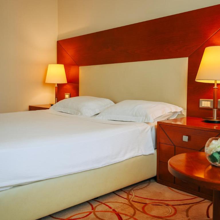 Grand Hotel Tuzla - Dvokrevetna Soba sa Bračnim Krevetom - 3