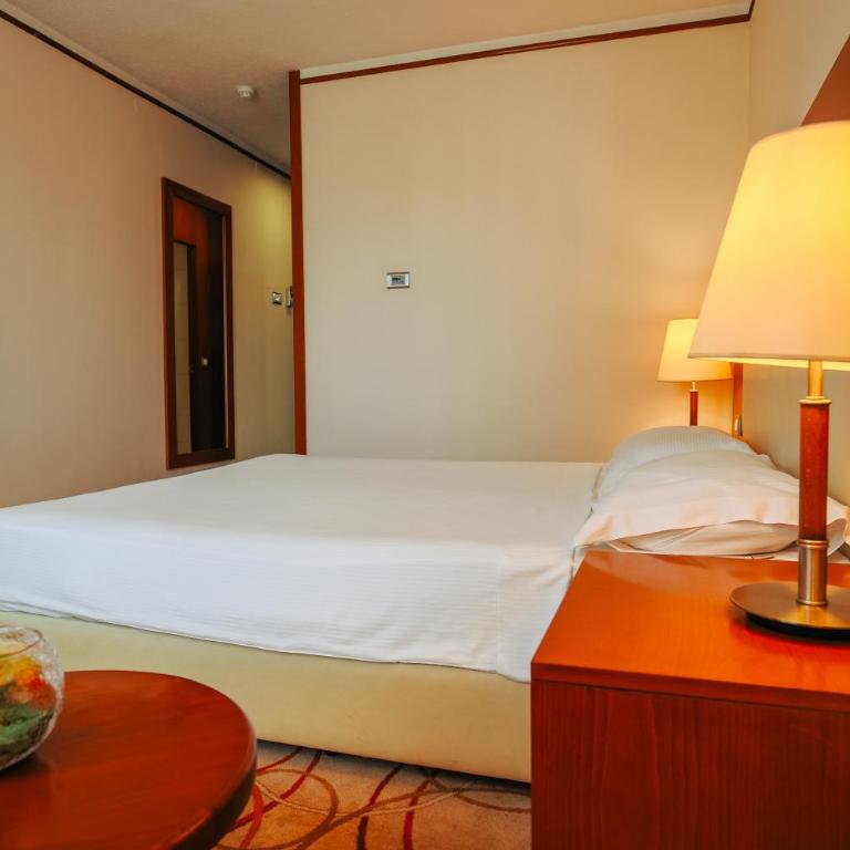 Grand Hotel Tuzla - Dvokrevetna Soba sa Bračnim Krevetom - 2