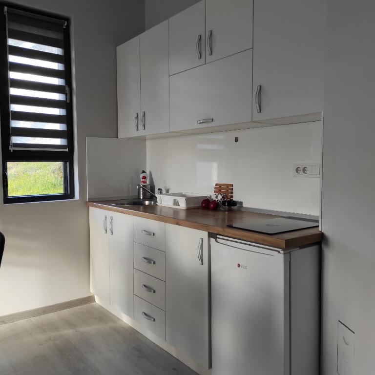 Apartman Riboškić Divčibare 2 - One-Bedroom Apartment - 4