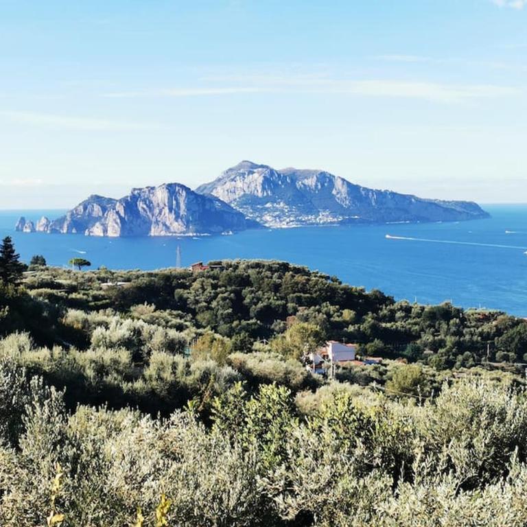 Villa Capri Wonderful View - Casa Vacanze - 55