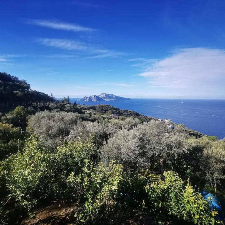 Villa Capri Wonderful View - Casa Vacanze - 54