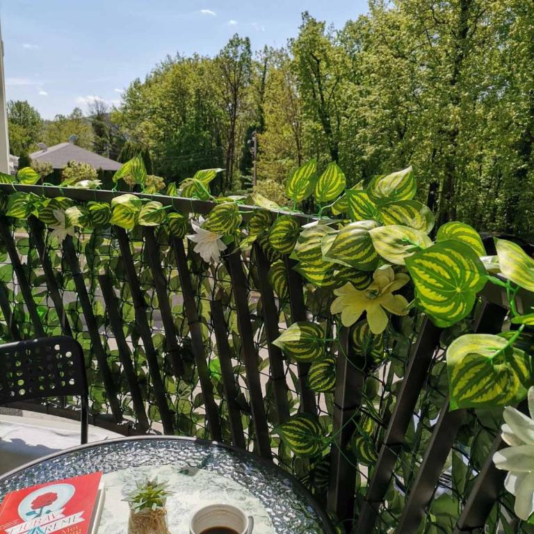 Vidikovac - Apartman sa 1 Spavaćom Sobom - 20