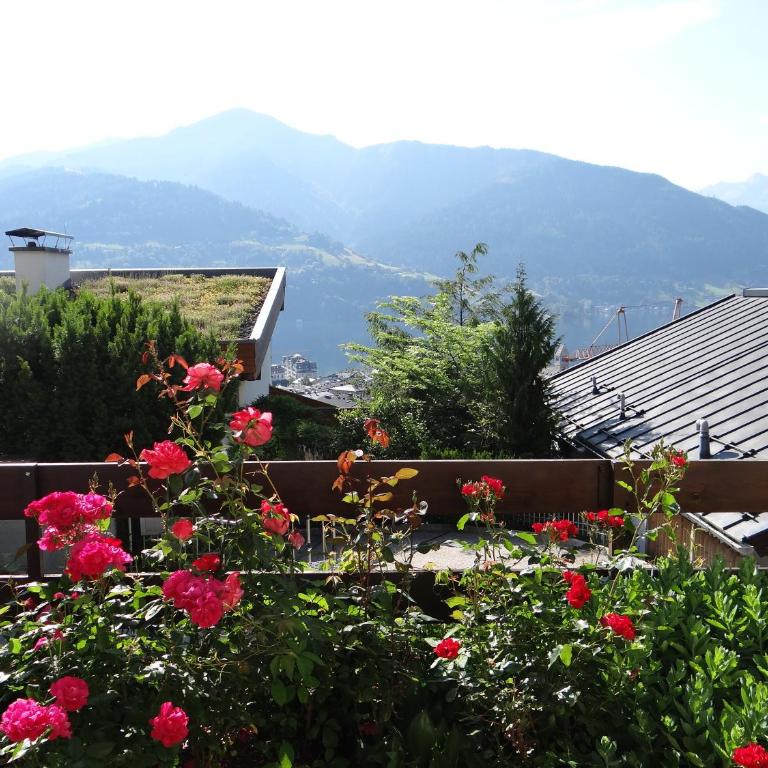 Appartement Haus Sonnenheim - Ferienwohnung Honigkogel – 18 m² - 27