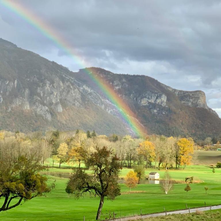 LE BALCON DU GOLF - Appartement 1 Chambre - 35
