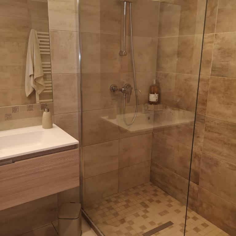 Très bel appartement avec vue sur les montagnes - Appartement 1 Chambre - 4