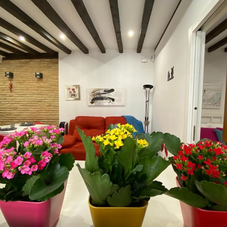 Don Quijote - Apartamento de 1 dormitorio - 15