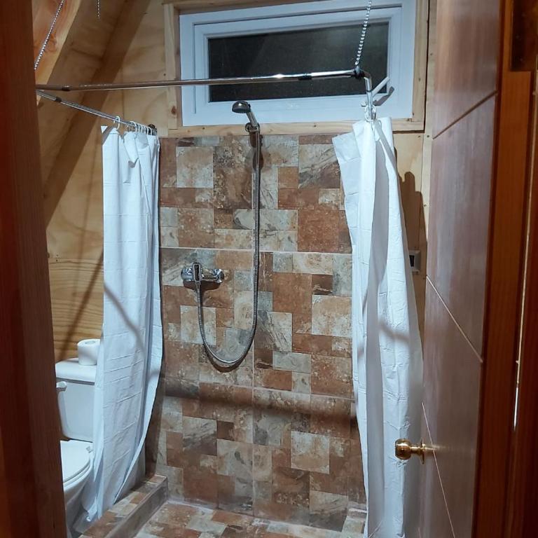 A-FRAME CABIN PUCON - Deluxe Double Room with Shower - 2