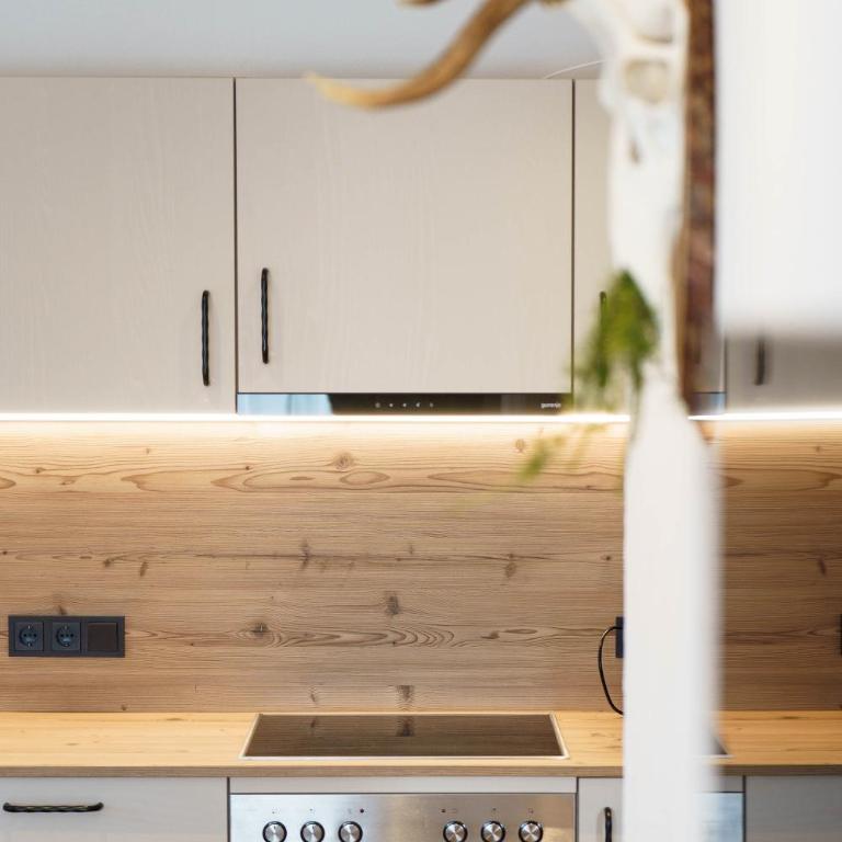 Stoagas Waidblick - Apartment mit Sauna - 11