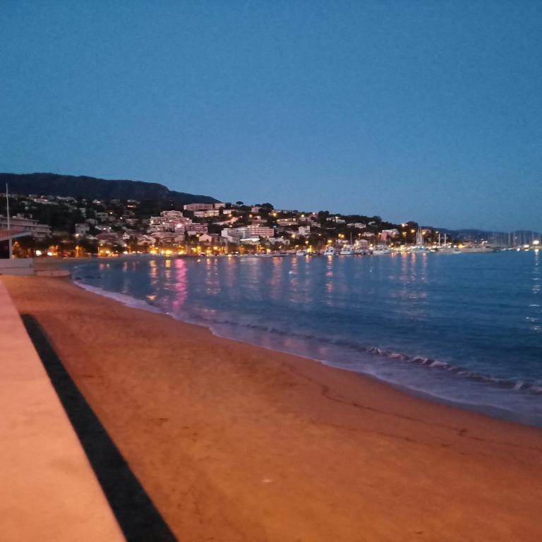 FACE MER ENTRE PLAGE ET MARINA - Monolocale con Vista Mare - 37