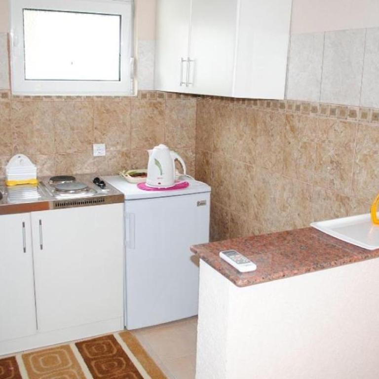 Apartments Anne - Apartman sa Terasom - 8