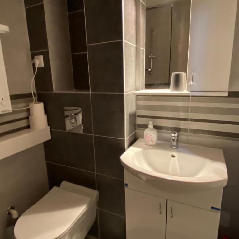 Apartman Petra - Apartman sa 1 Spavaćom Sobom - 13