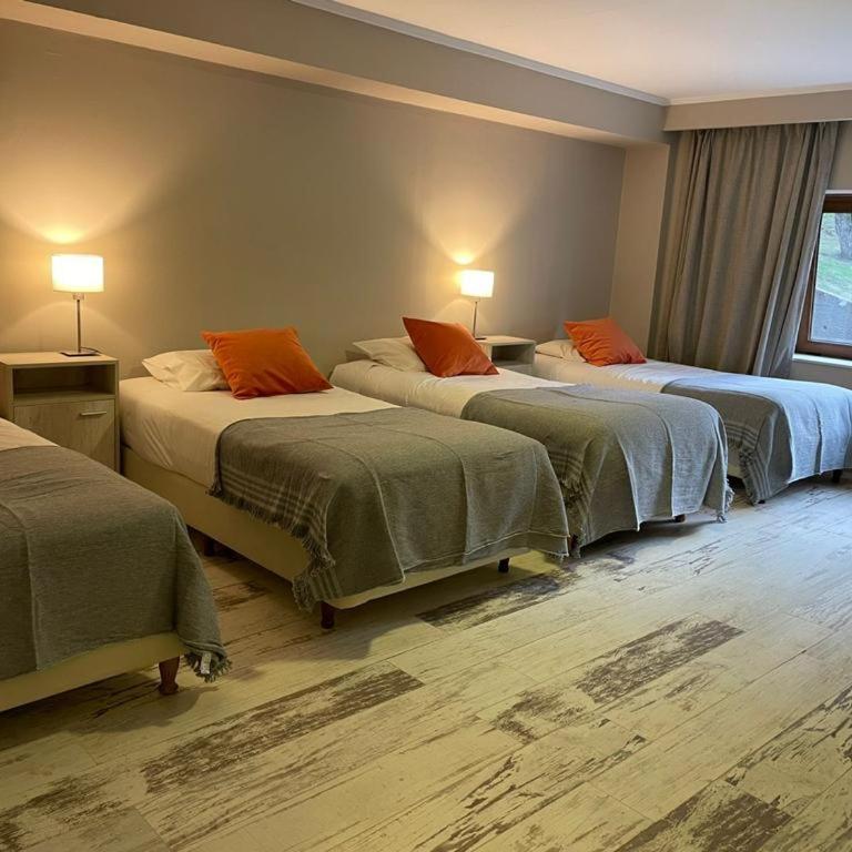 Basia Hotel & Sushi - Habitación Cuádruple - vistas al jardín - 4