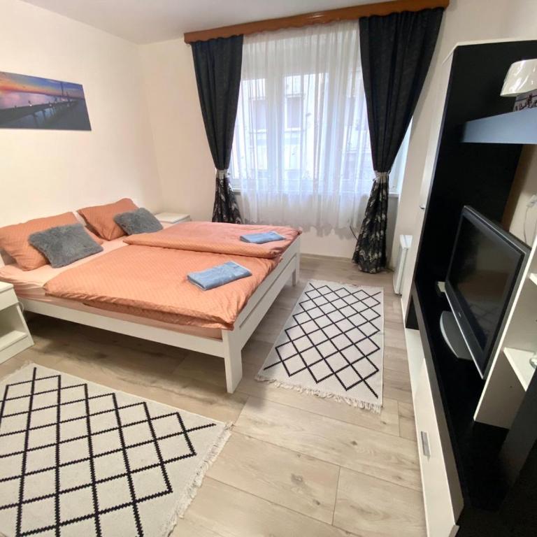 COZY CENTER Apartment Bihać - One-Bedroom Apartment - 10