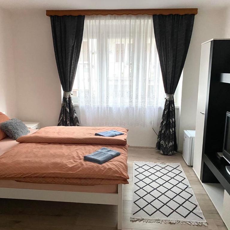 COZY CENTER Apartment Bihać - One-Bedroom Apartment - 2