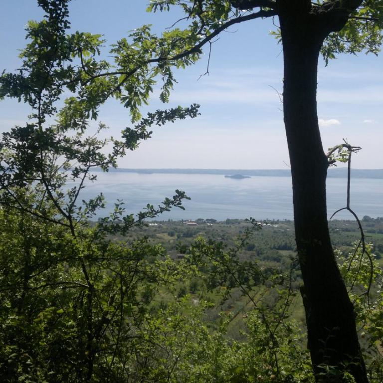 Appartamento Miralago Bolsena - Appartamento con Vista Lago - 60