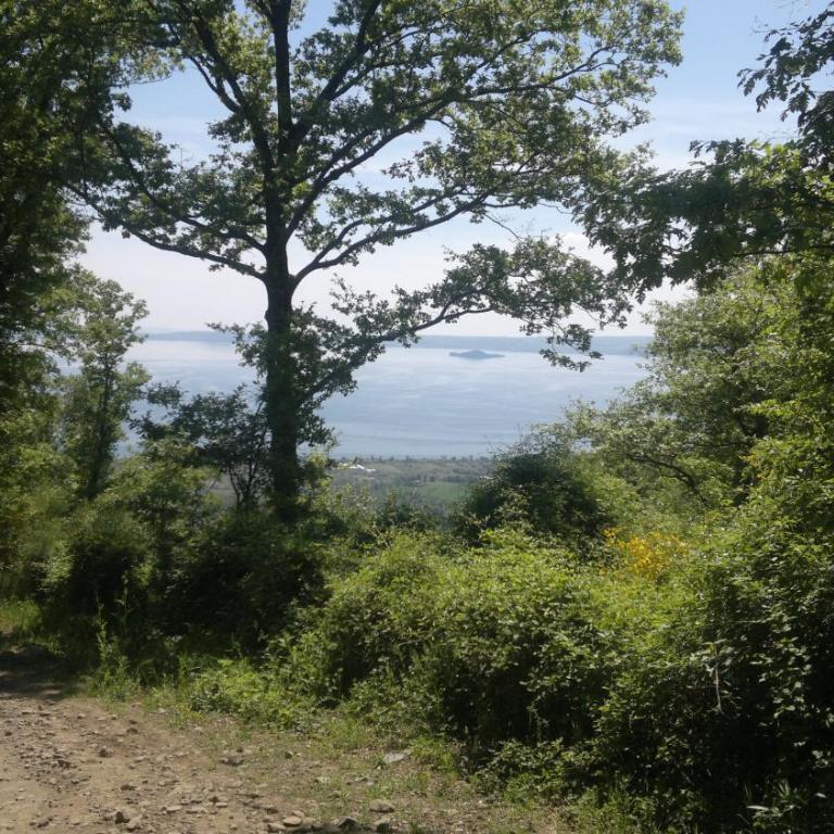 Appartamento Miralago Bolsena - Appartamento con Vista Lago - 61