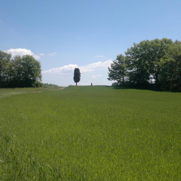 Appartamento Miralago Bolsena - Appartamento con Vista Lago - 62