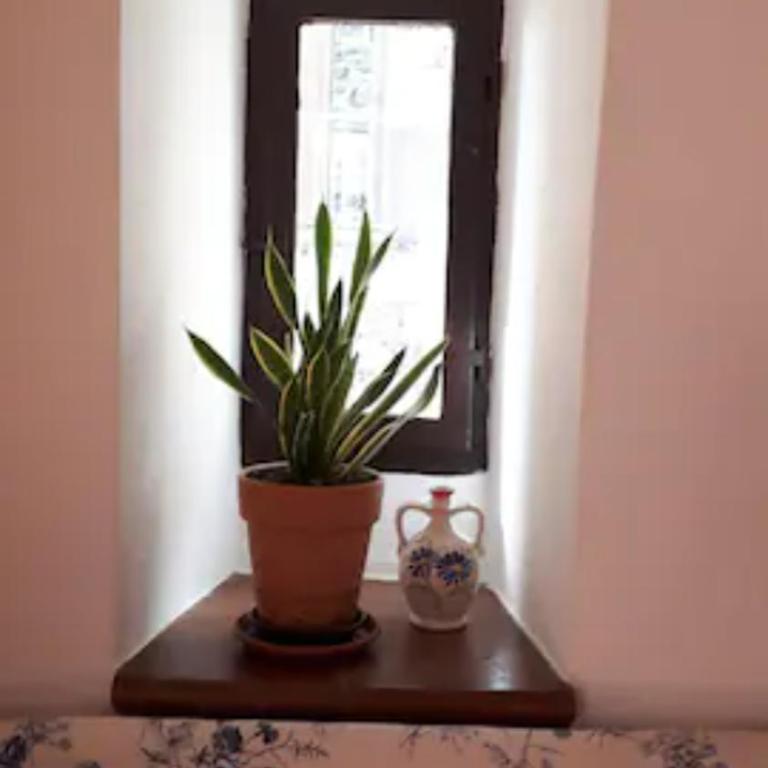 Appartamento Miralago Bolsena - Appartamento con Vista Lago - 18
