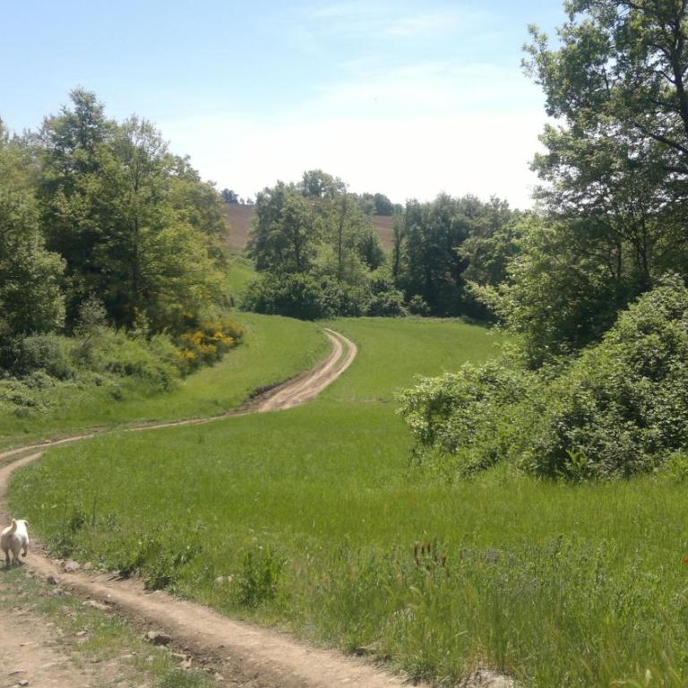 Appartamento Miralago Bolsena - Appartamento con Vista Lago - 66