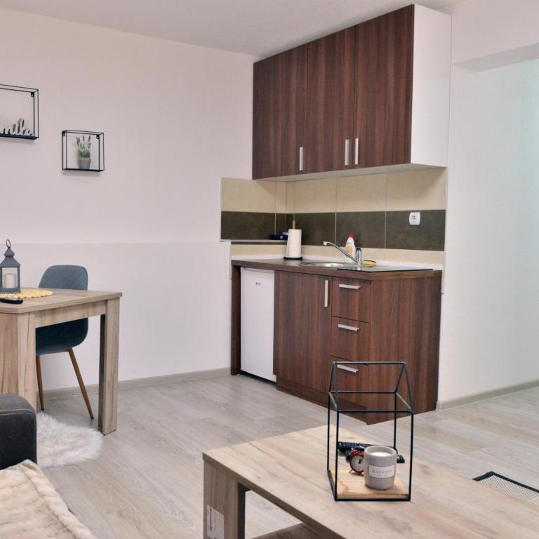 KRAGUJ apartman - One-Bedroom Apartment - 16