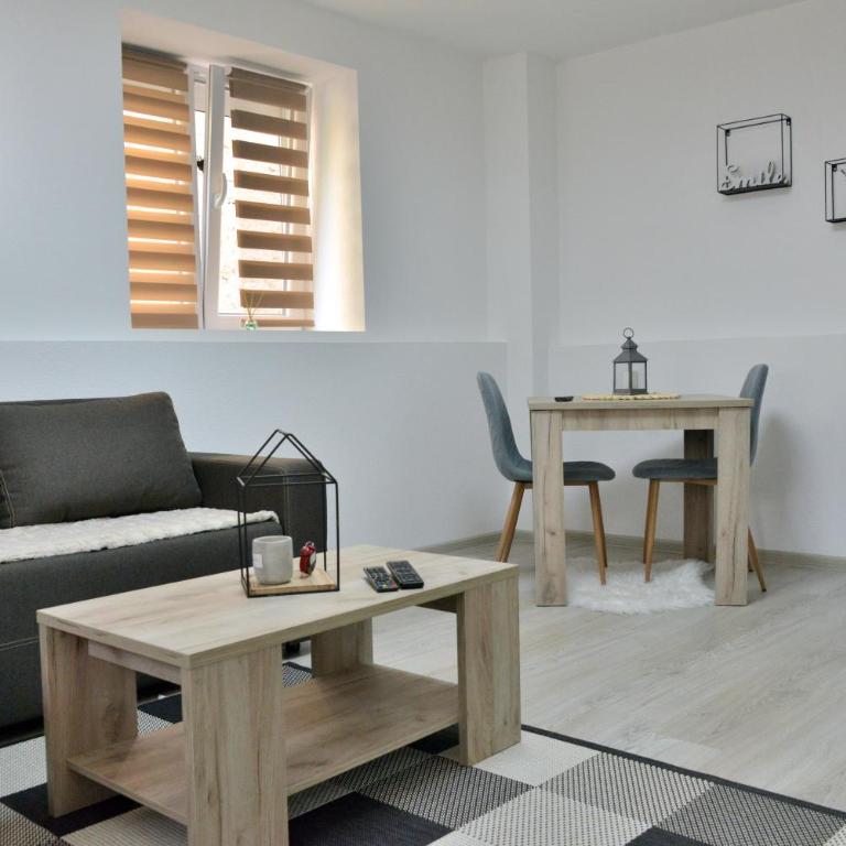 KRAGUJ apartman - One-Bedroom Apartment - 19