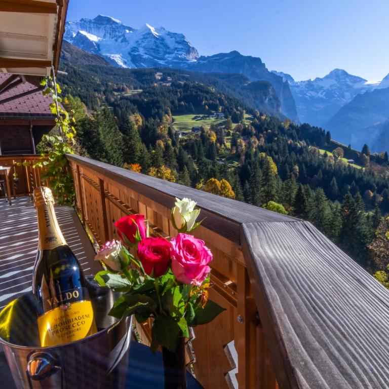 Chalet Aargovia - Apartment mit Balkon - 22