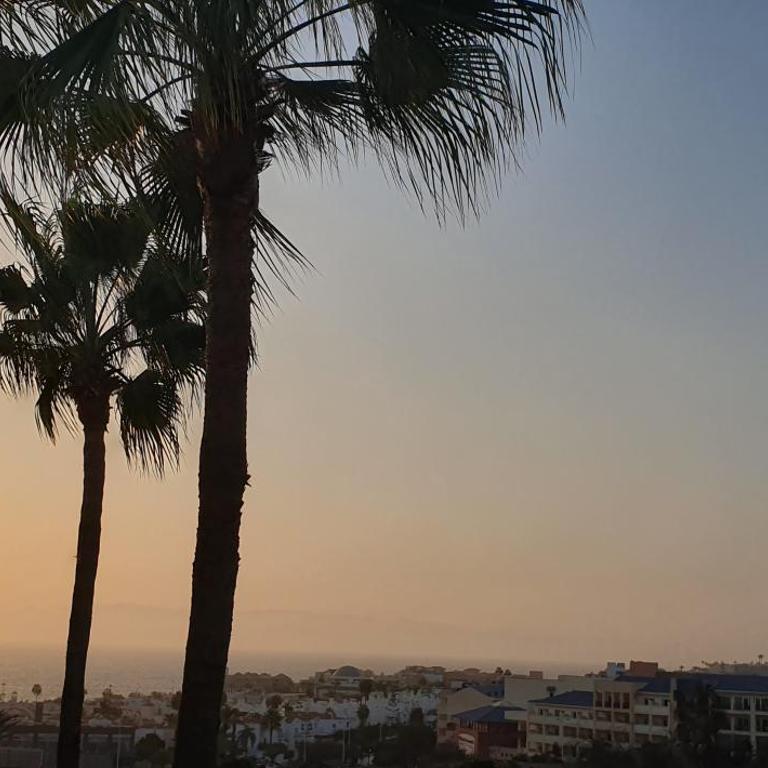 Mareverde vista mare con tres piscinas - Apartamento de 1 dormitorio - 2