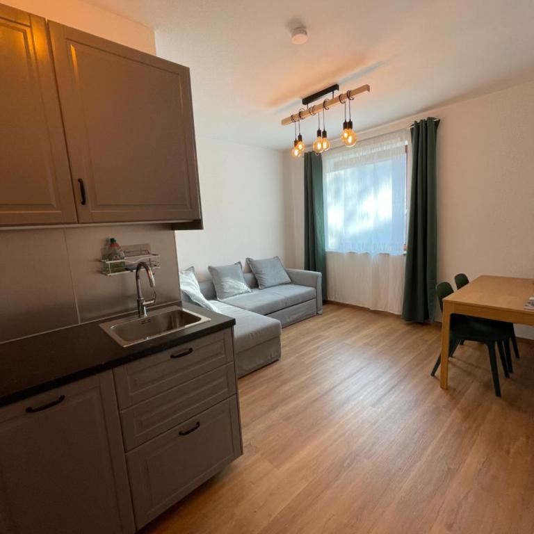 Zentrum & Parkmöglichkeit Apartment - One-Bedroom Apartment - 13
