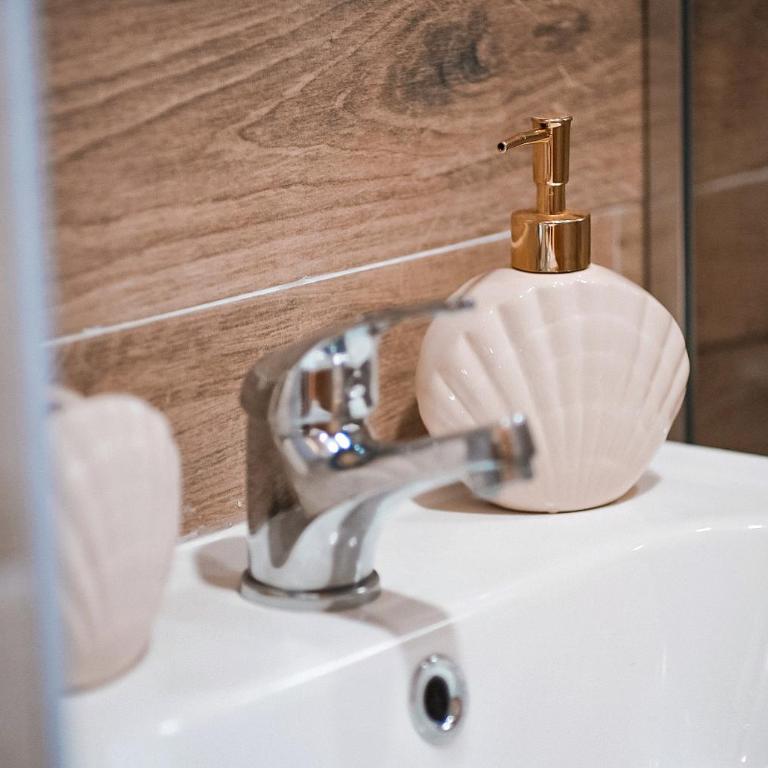 Apartman TRAG Divčibare - Studio sa Bračnim Krevetom (King-size) - 27
