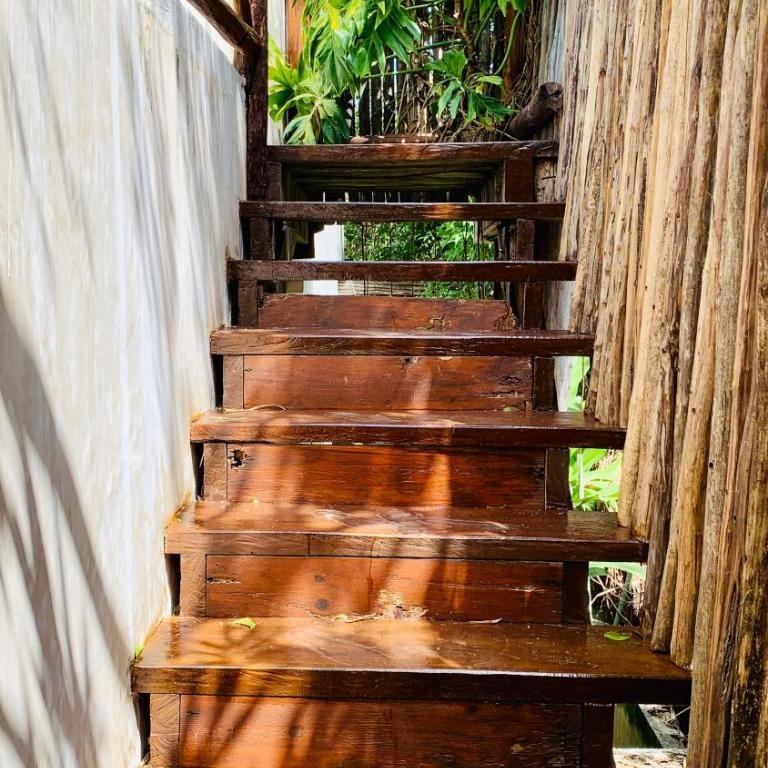 Orchid House Tulum Jungle - Villa con piscina privada - 4