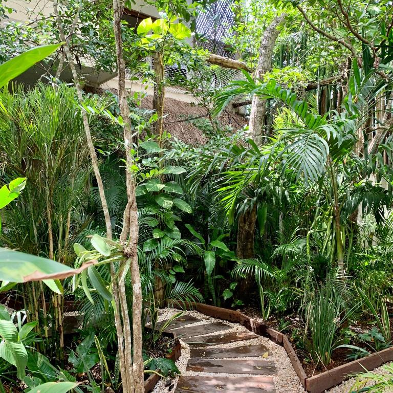 Orchid House Tulum Jungle - Villa con piscina privada - 10