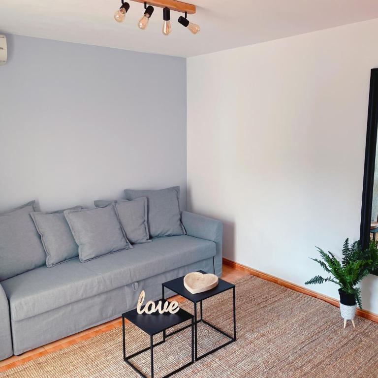 ZajaraHome - Apartamento de 1 dormitorio - 4