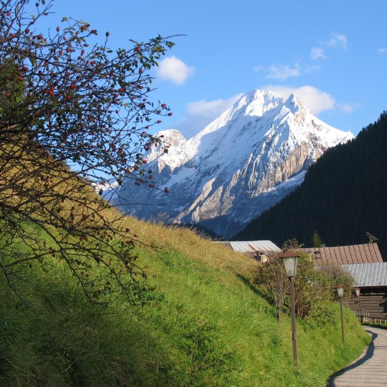 Chalet Pian - Appartamento con 1 Camera da Letto e Vista Montagna - 1