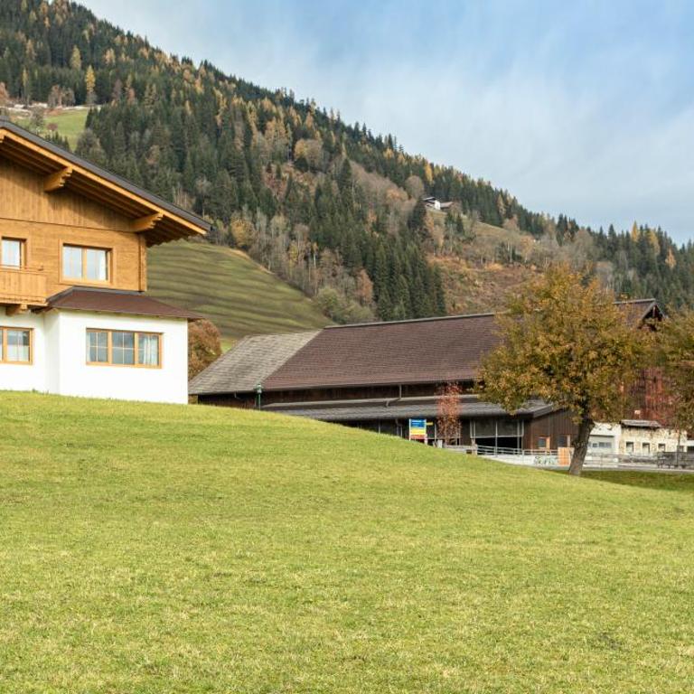 Hinteraigengut - Apartment mit 3 Schlafzimmern und Dusche - 17