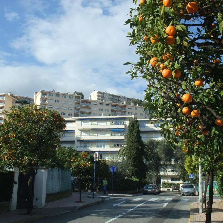 Neptune 5, top floor studio, sea view - One-Bedroom Apartment - 42