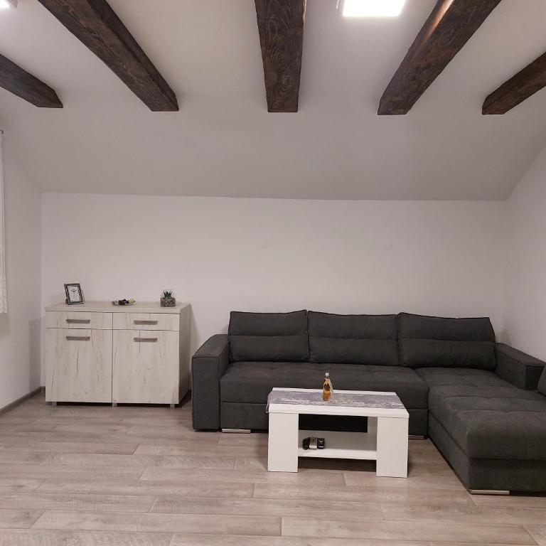Apartman Milena Pale - dva garazna parking mjesta - Two-Bedroom Apartment - 5