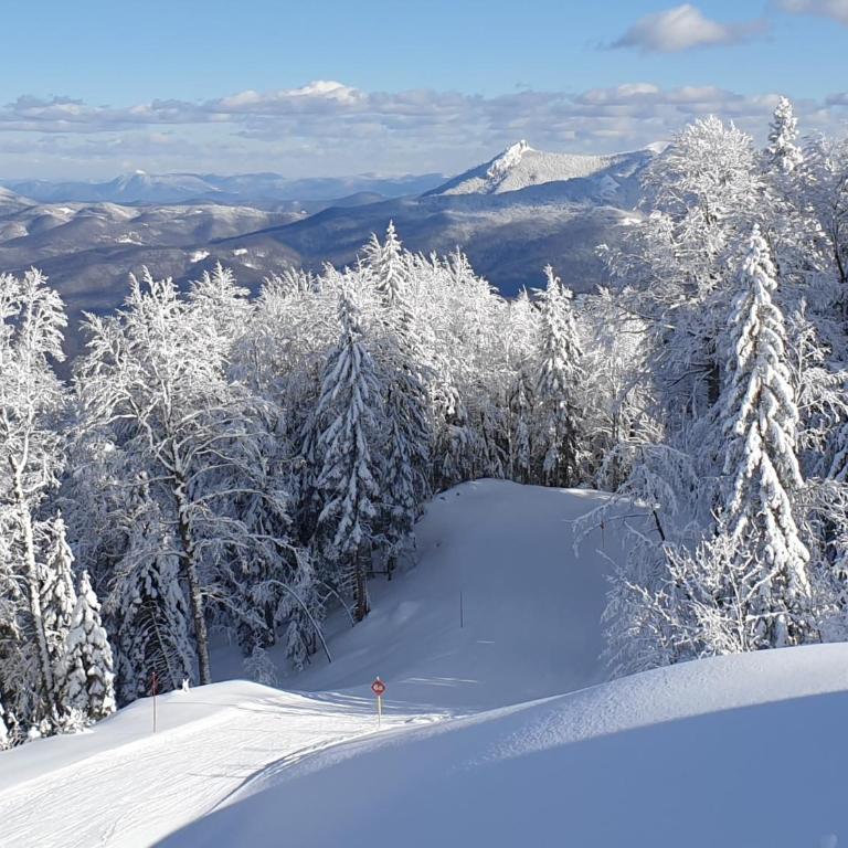 Olimpijska kuca A - Family Studio - 13