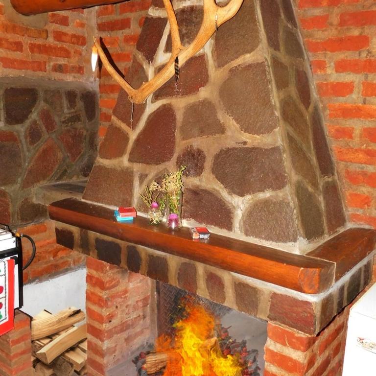 Cabaña de CAMPO Altos del Futaleufu sobre COSTA DE RÍO - One-Bedroom Chalet - 10