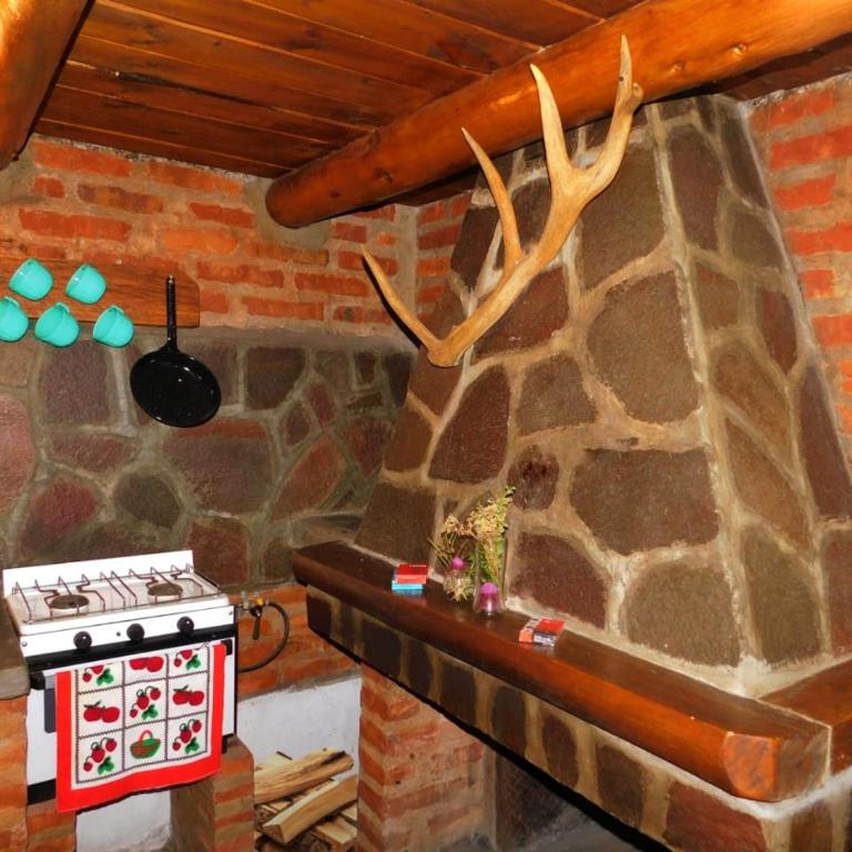 Cabaña de CAMPO Altos del Futaleufu sobre COSTA DE RÍO - One-Bedroom Chalet - 8
