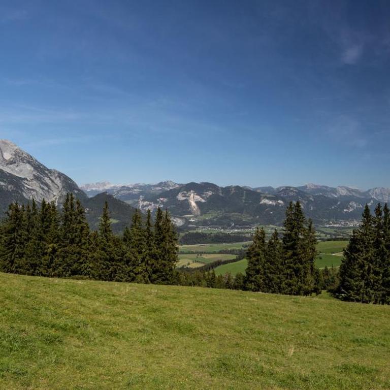 Buchmann Lehen - Chalet mit 3 Schlafzimmern - 52