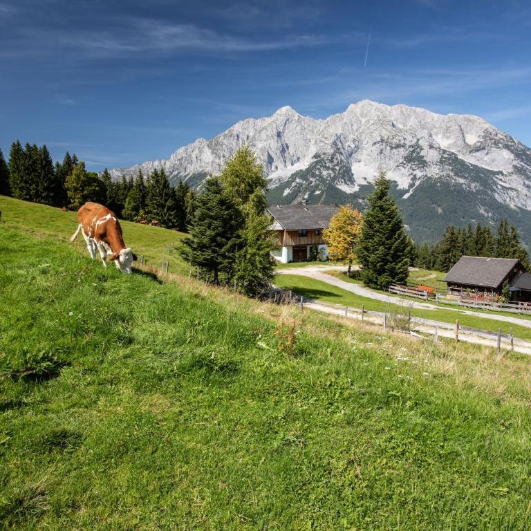 Buchmann Lehen - Chalet mit 3 Schlafzimmern - 63