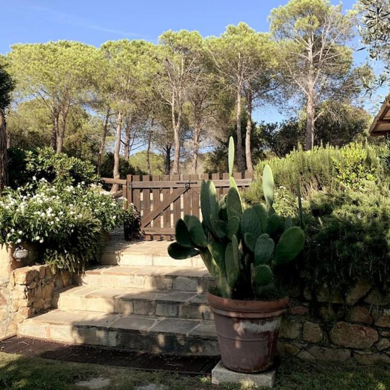 Villa Blu - con vista e accesso privato sul mare - Villa - 79