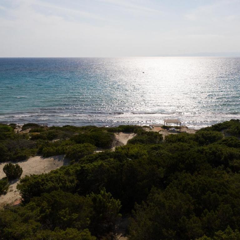 Villa Blu - con vista e accesso privato sul mare - Villa - 87