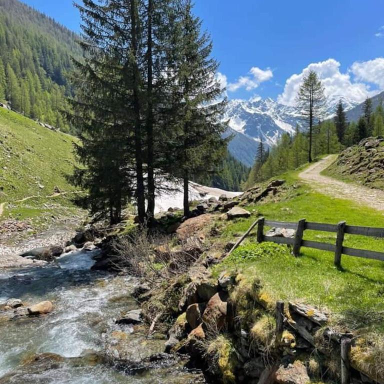 La Tana del Gufetto - Appartamento con Vista Montagna - 49