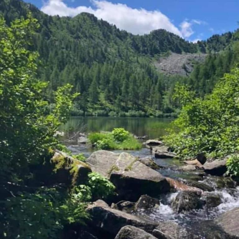 La Tana del Gufetto - Appartamento con Vista Montagna - 50