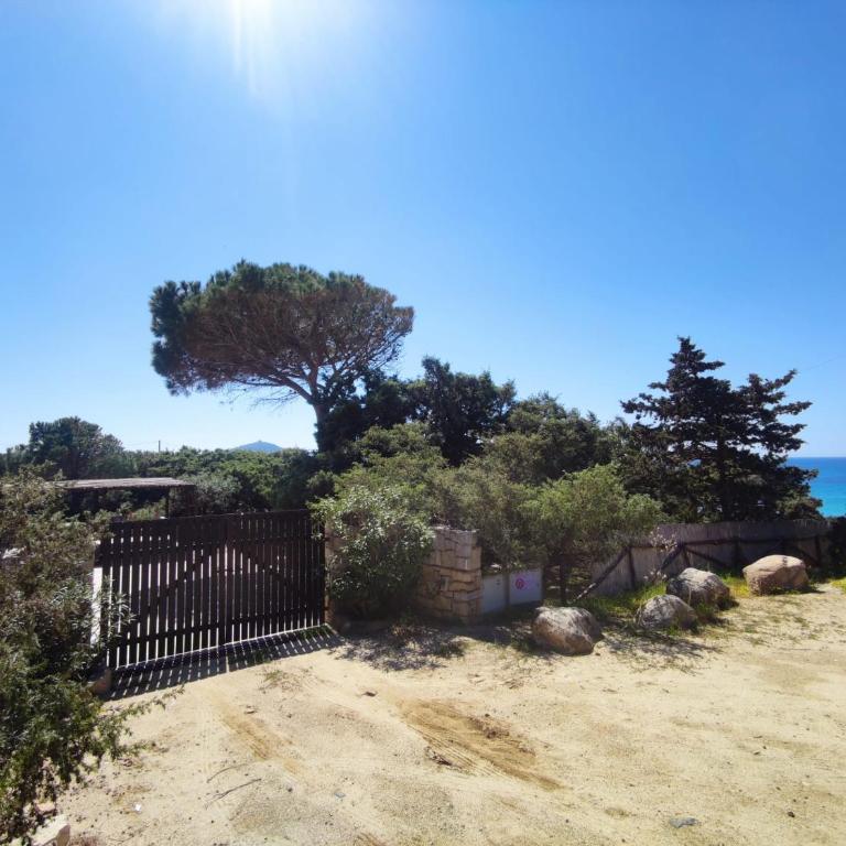 Villa Blu - con vista e accesso privato sul mare - Villa - 73