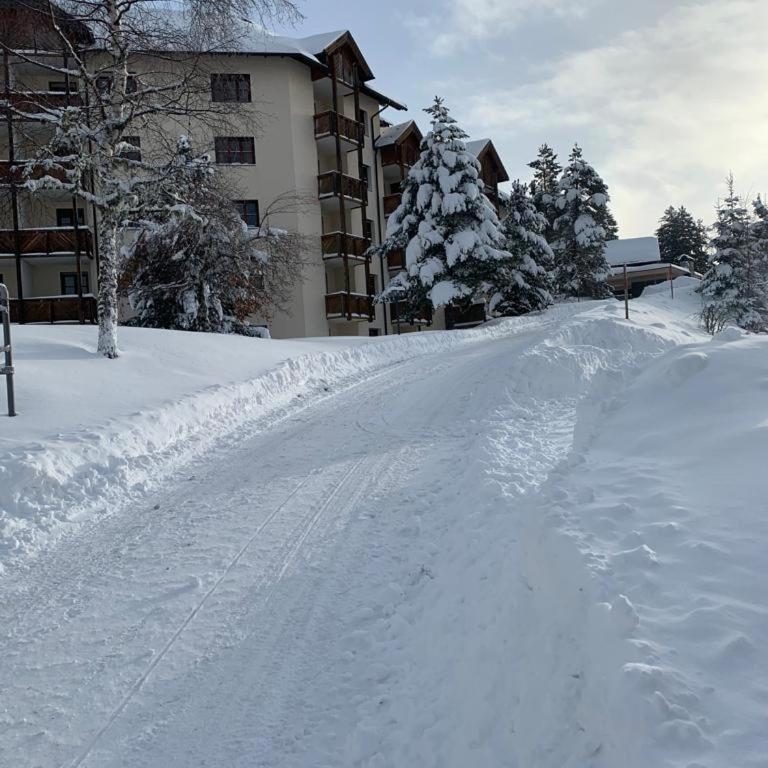 Hundefreundliche Bergwohnung neben der Skipiste - Mittelstation Skigebiet Gerlitzen - Apartment mit 1 Schlafzimmer - 25
