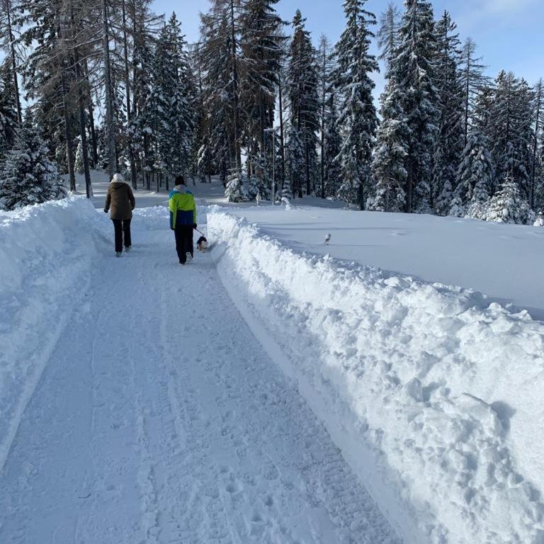 Hundefreundliche Bergwohnung neben der Skipiste - Mittelstation Skigebiet Gerlitzen - Apartment mit 1 Schlafzimmer - 24