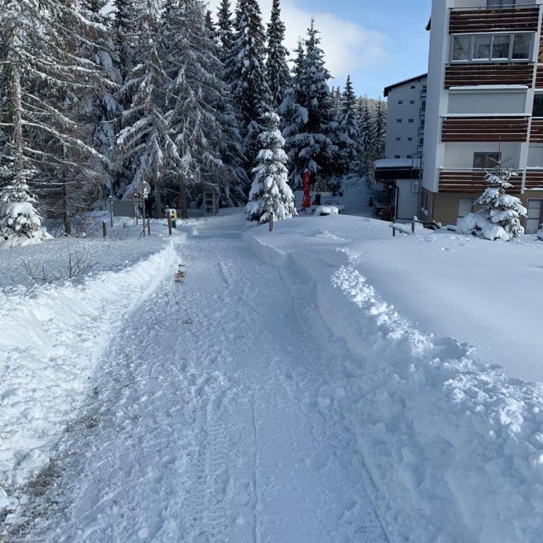 Hundefreundliche Bergwohnung neben der Skipiste - Mittelstation Skigebiet Gerlitzen - Apartment mit 1 Schlafzimmer - 23